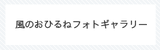 風のおひるねフォトギャラリー