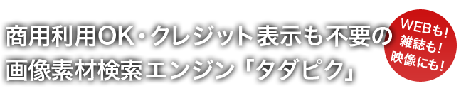 商用利用可・クレジット表記不要のフリー素材・無料画像検索エンジン「タダピク」